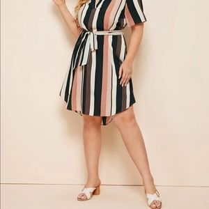 Stripe belted dress